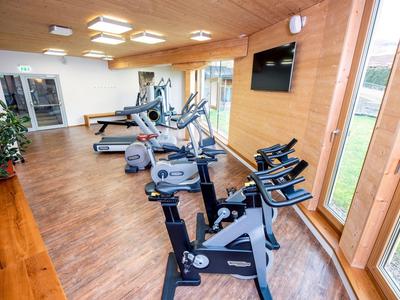 Světelná posilovna s dřevěným obložením, trenažéry a velkými okny s výhledem ven.