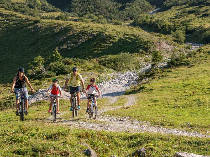 Familie rijdt met mountainbikes op een zonnig bergpad door groen landschap.