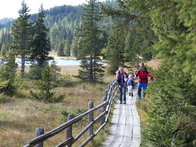 Wanderer gehen auf einem Holzsteg durch eine bewaldete Landschaft neben einem See.