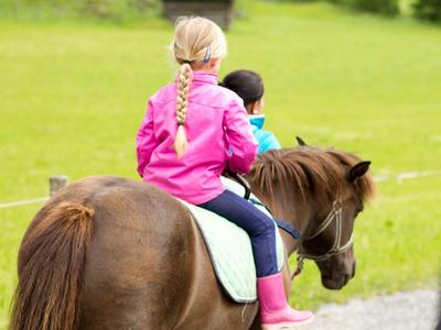Zwei Kinder sitzen auf einem braunen Pony auf einer grünen Wiese.