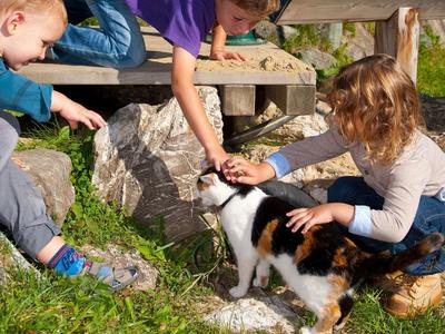 Drei Kinder streicheln eine schwarze, weiße und braune Katze im Garten neben Holztreppe.