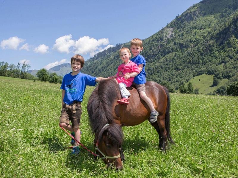 Tři děti na zelené horské louce, dva na poníkovi, jeden vedle v létě.