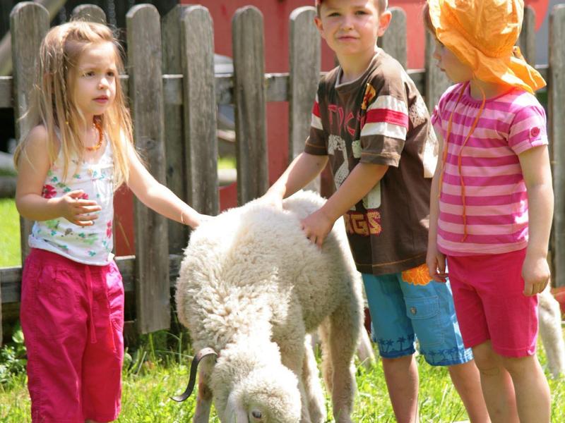Tři děti hladí ovci na zahradě.