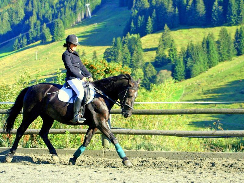 Iemand rijdt een zwart paard in een omheind buitengebied met groene heuvels op de achtergrond.