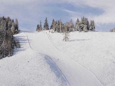 Schneebedeckter Hügel mit Bäumen und klarem Himmel im Winter.