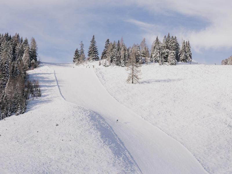 Schneebedeckter Hügel mit Bäumen und klarem Himmel im Winter.