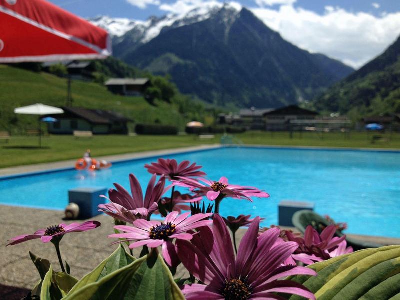 Bright purple flowers with a mountain and blue pool in the background under a cloudy sky.