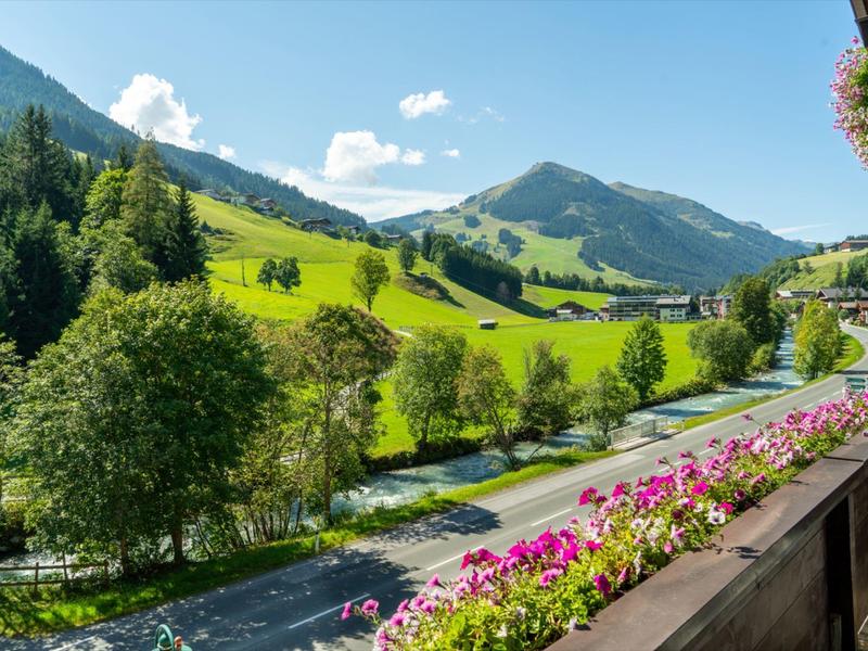 Blick von einem Balkon mit Blumen auf eine Straße und grüne Berge im Sonnenschein.