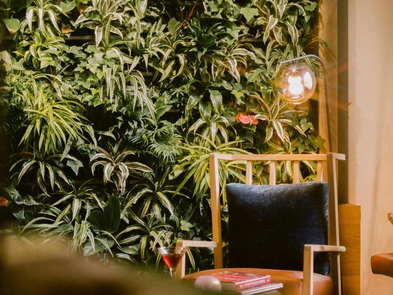 Sedia accogliente davanti a parete verde verticale di piante in ambiente con luce calda.