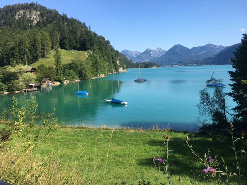 Zielone jezioro z żaglówkami, łąkami i zalesionymi górami w tle