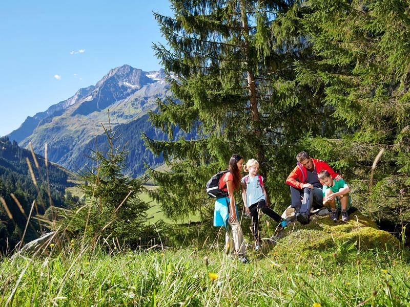 Vier Wanderer in bunter Kleidung in grüner Bergwiese vor Tannen und Bergen unter blauem Himmel.