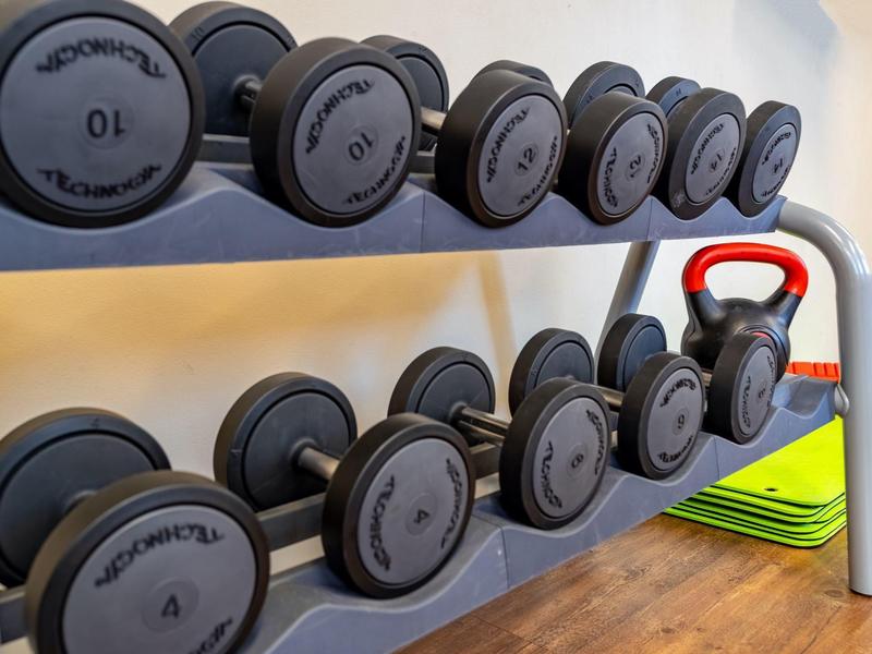 Mehrere schwarze Kurzhanteln aus Gusseisen, ordentlich auf grauem Gestell im Fitnessraum.