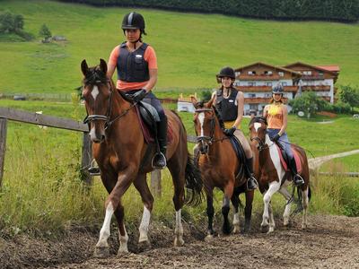 Drei Reiter auf Pferden reiten auf einem Weg mit grüner Wiese und Almhütten im Hintergrund.