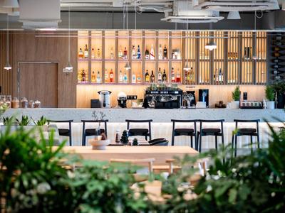 Moderne Hotelbar mit Holzregalen, Hockern und grünen Pflanzen im Vordergrund.