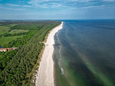 Luftaufnahme einer langen Sandküste mit angrenzendem Wald und ruhigem Meer unter bewölktem Himmel