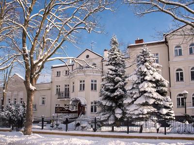 Schneebedeckte Bäume vor einem historischen Gebäude bei klarem Himmel.