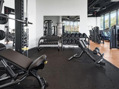 Nowoczesna siłownia z ciężarami i sprzętem treningowym przed dużymi oknami.