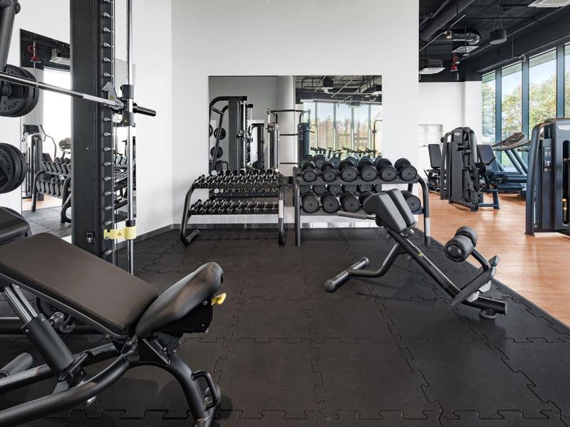 Gimnasio luminoso y moderno con varias máquinas de entrenamiento y pesas.