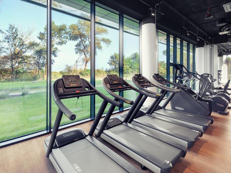 Cintas de correr modernas en un gimnasio bien iluminado con grandes ventanas y vista a áreas verdes.