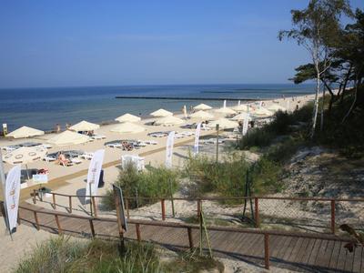Playa con sombrillas blancas, arena y una pasarela de madera junto a dunas y arbustos.