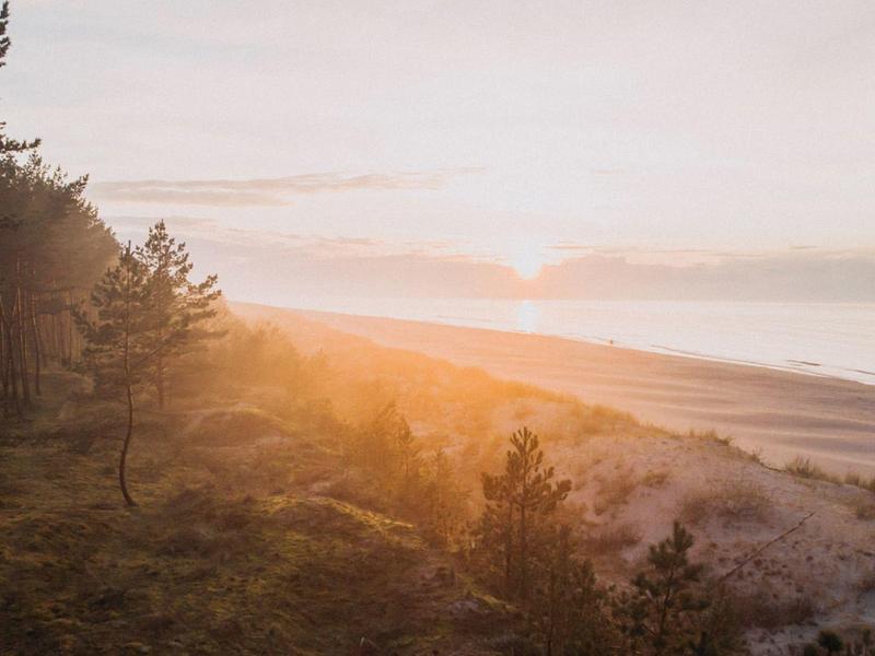 Wschód słońca nad zalesioną plażą z delikatną mgłą i spokojnym morzem