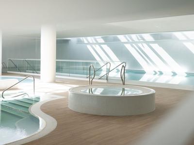 Moderner Innenpool mit Tageslicht, rundem Whirlpool und Holzfußboden.