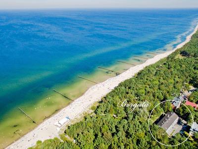 Langer Strand mit klarem Wasser und dichtem Wald im Hintergrund an einem sonnigen Tag