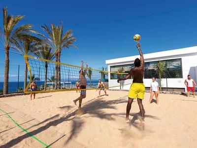 Groupe jouant au beach-volley sur un terrain sablonneux avec des palmiers et un ciel bleu en arrière-plan.