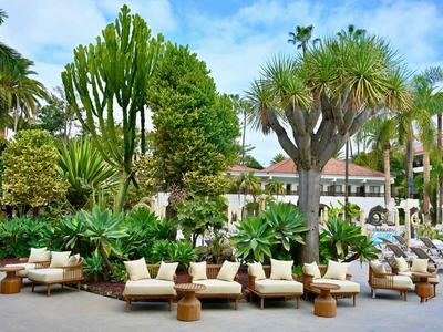 Zona de piscina de un complejo hotelero con tumbonas y plantas exóticas bajo un cielo azul.