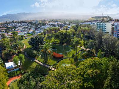 Blick über einen grünen Park mit Palmen in einer Stadt mit Bergen im Hintergrund.