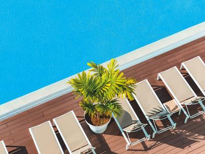 Vista de sillas vacías junto a una piscina con una palma en maceta sobre una terraza de madera.