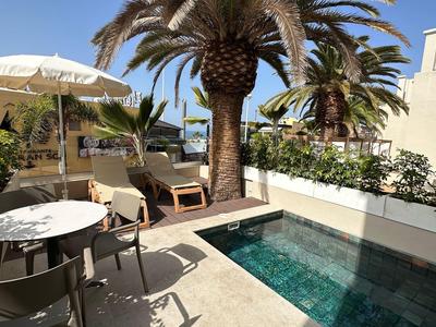 Cozy terrace with pool, palm trees, and seating under a sunny sky.