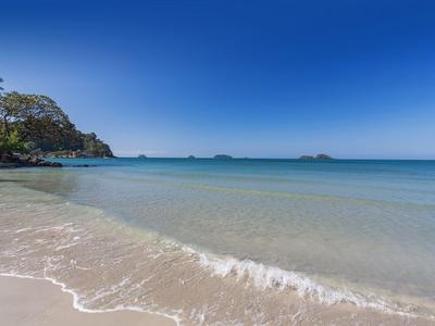 Klarer blauer Himmel über ruhigem Strand mit Palmen und sanften Wellen.