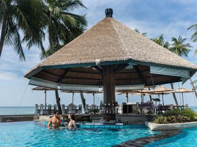 Infinity-Pool mit Swim-up-Bar unter einem Strohdach, umgeben von Palmen und Meerblick.