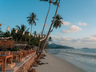 Beach with palm trees, wooden chairs, and sea view at sunset.