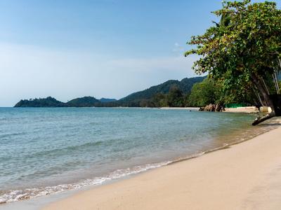 Ein ruhiger Strand mit klarem Wasser, Sand und Bäumen am Ufer bei sonnigem Himmel.