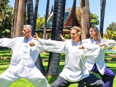 Drei Personen in weißen Anzügen praktizieren Tai Chi im sonnigen Park mit grüner Wiese und Palmen.