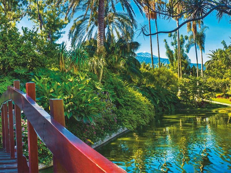 Passerella in legno rosso sull'acqua tranquilla con palme e vegetazione verde al sole.