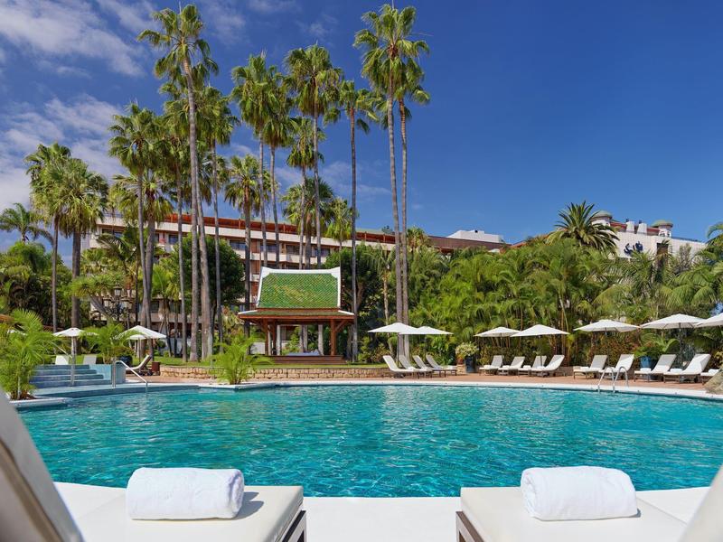 Area piscina con lettini e alte palme sotto un cielo azzurro nel giardino dell'hotel.