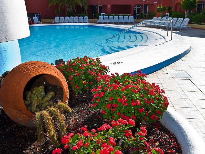 Hotel pool with red flowers and a terracotta pot in the foreground, surrounded by colorful buildings.