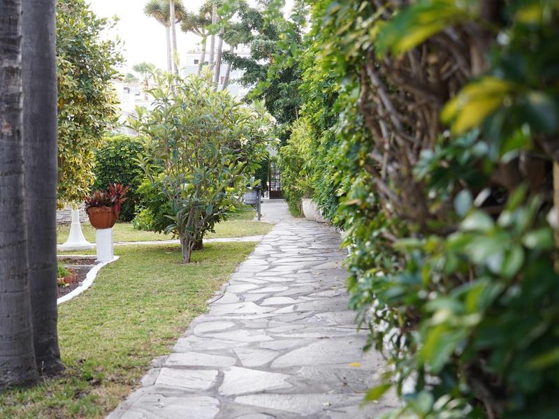 Stone path surrounded by green trees and plants in a well-maintained garden.