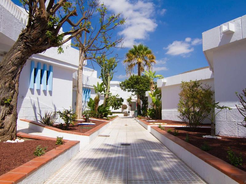 Chemin pavé bien éclairé entre des bâtiments blancs avec des plantes et des arbres sous un ciel bleu.