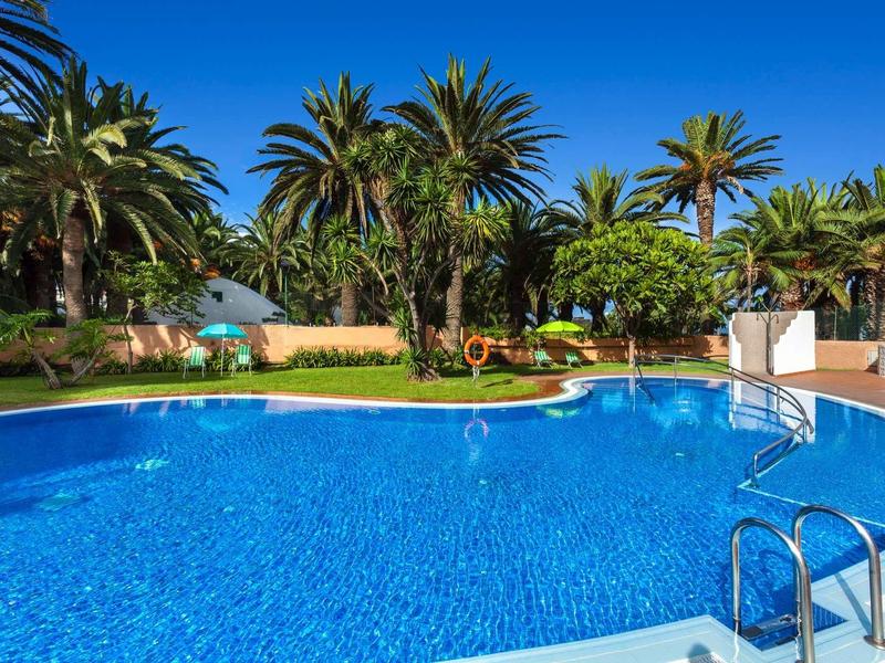 Klares blaues Schwimmbecken mit Metallleiter, umgeben von Palmen und grünem Gras.