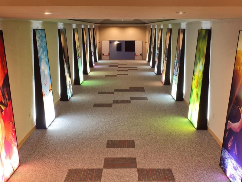 Largo pasillo de hotel con imágenes de flores iluminadas en las paredes laterales y alfombra.