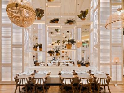 Salle à manger élégante avec chaises en bois, table blanche, plantes et grandes lampes en osier