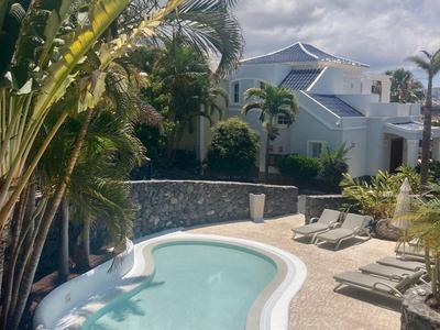 Kleiner, gewundener Pool mit klar blauem Wasser, umgeben von Palmen und Sonnenliegen vor Haus.