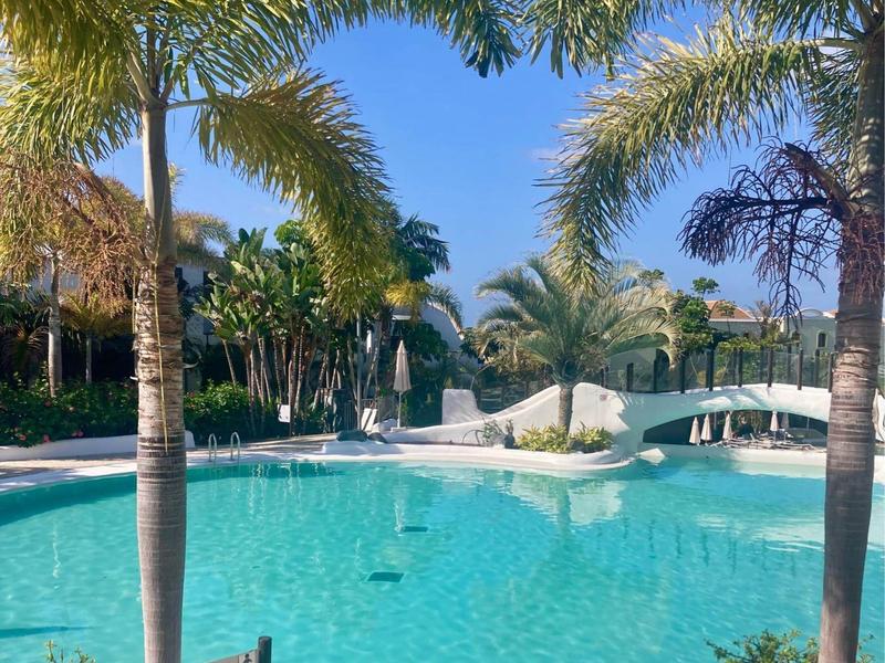 Ein blauer Pool mit klar Wasser, umgeben von Palmen und blauem Himmel.