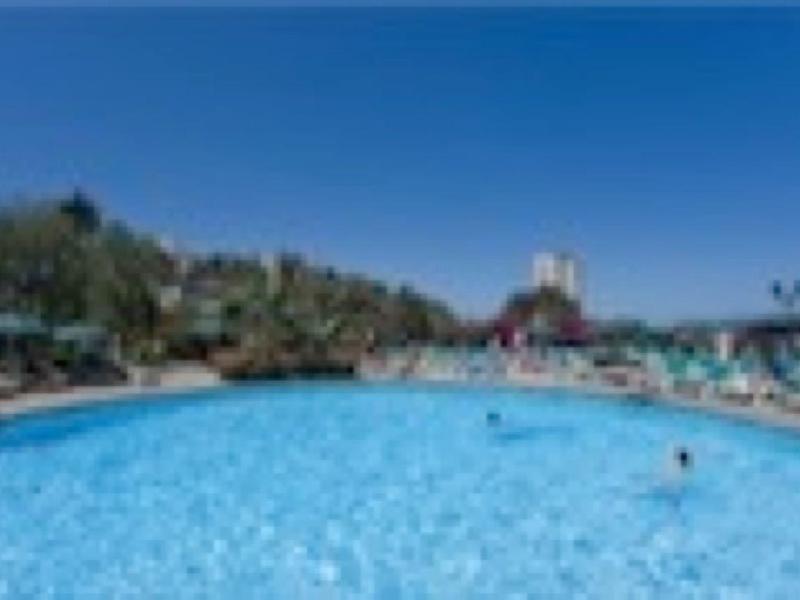 Großer Außenpool mit klarem blauem Wasser, umgeben von Liegestühlen und Palmen unter blauem Himmel.