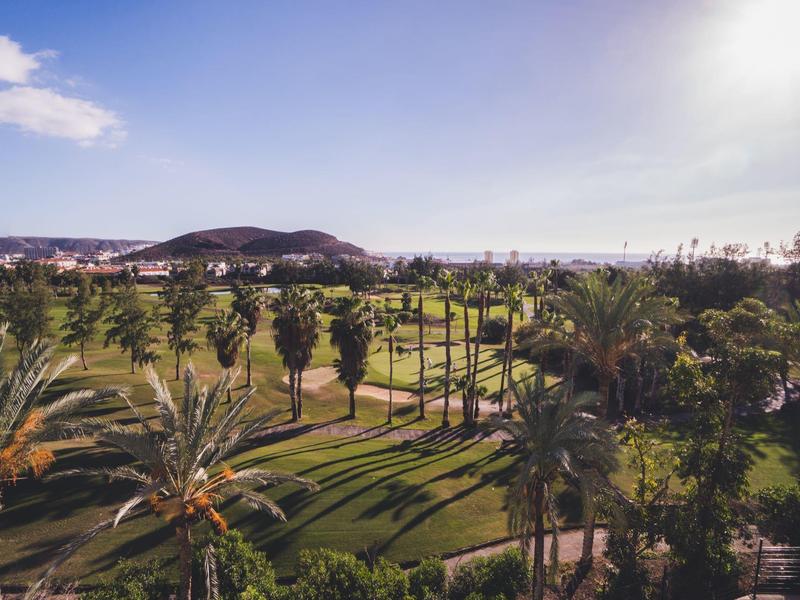 Obszerne pole golfowe z palmami i górami w tle pod niebieskim niebem.