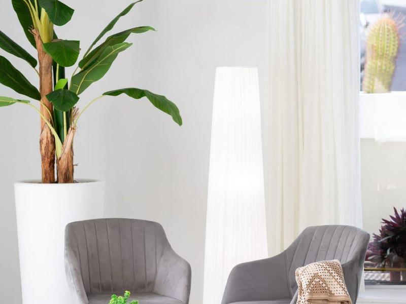 Moderne zithoek met grijze stoelen, houten poten, klein tafelblad en grote plant binnen.